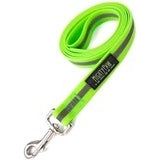 6' Leash / Green