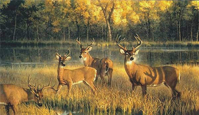 Shadow Time - Full Image by Nancy Glazier