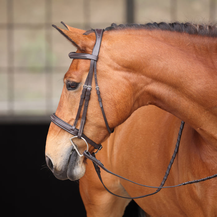 Shires Avignon Wellington English Bridle, Havana