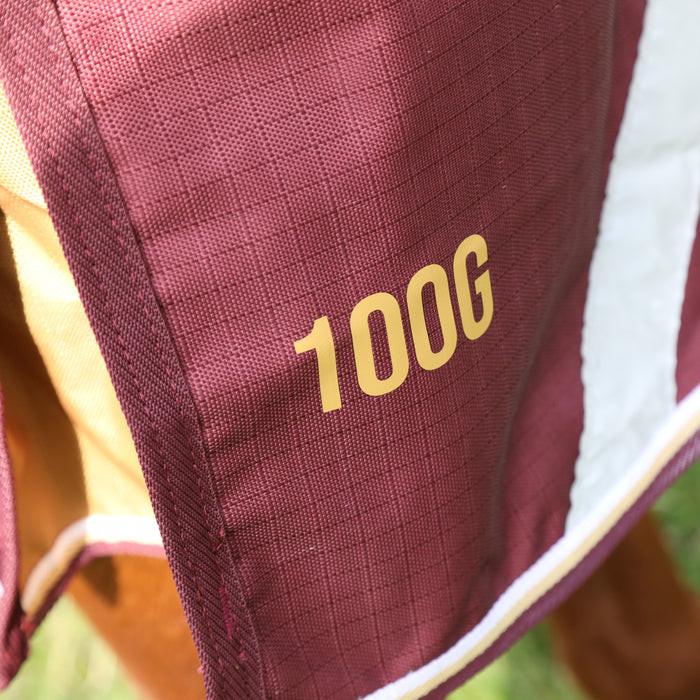 Shires Highlander Plus 100g Turnout Blanket