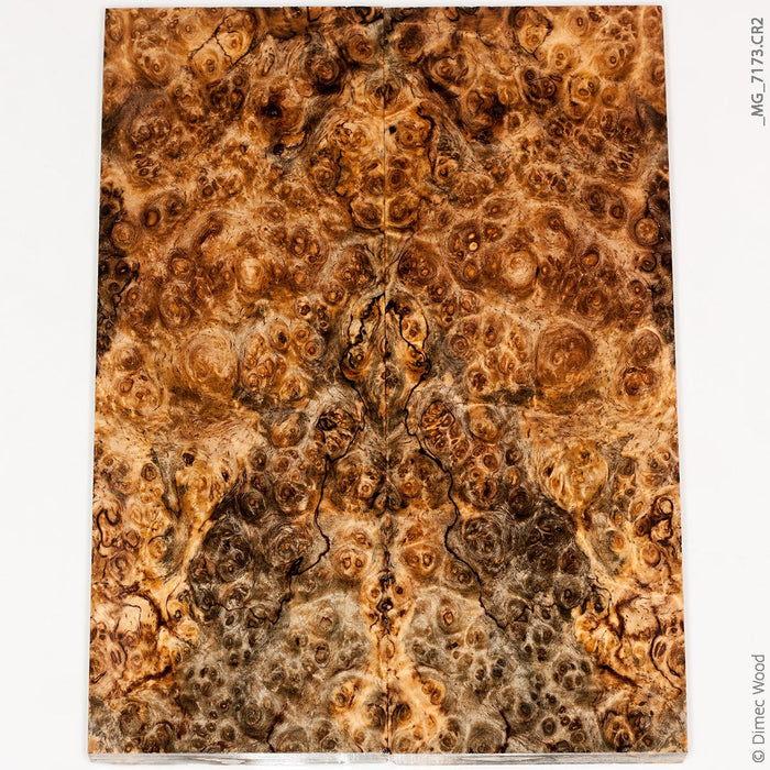 Stabilized spalted amboyna burl wood panels