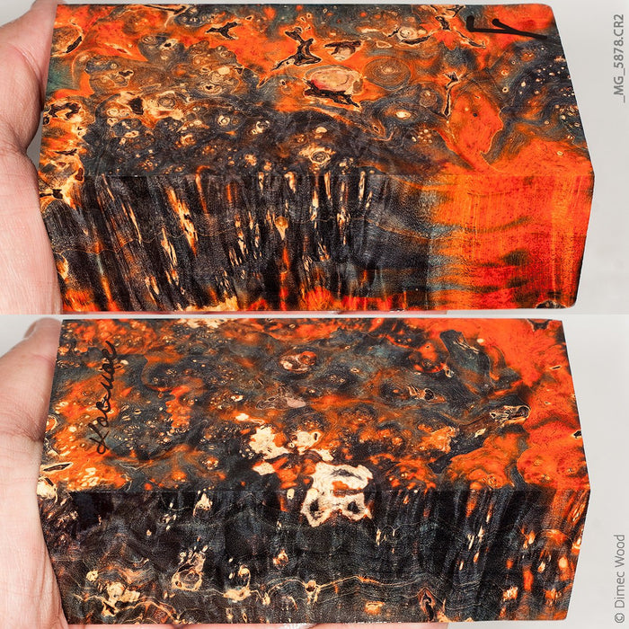 Stabilized wood box elder burl block