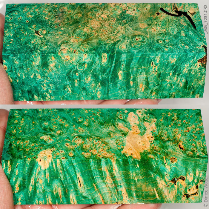 Stabilized wood box elder burl block
