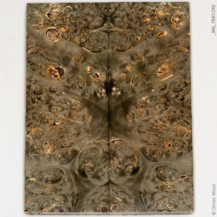 Stabilized wood box elder burl panels