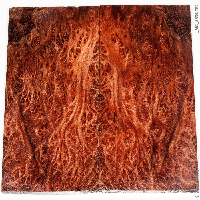 Stabilized wood redwood lace burl panels