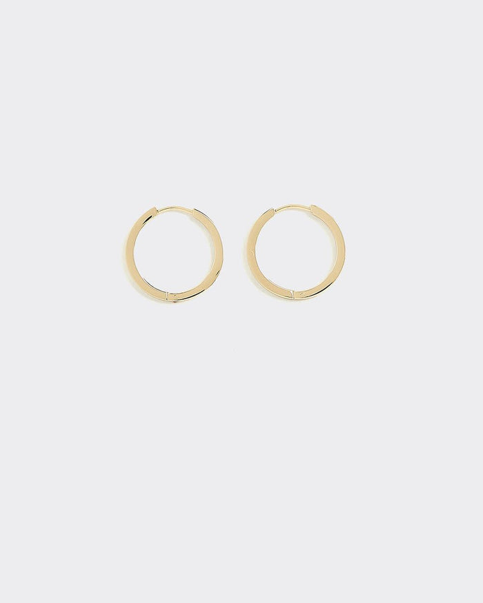 Stainless Steel Hoops