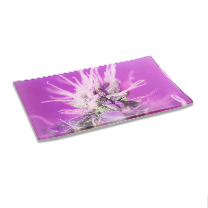 glass rolling tray pink lemonade v syndicate