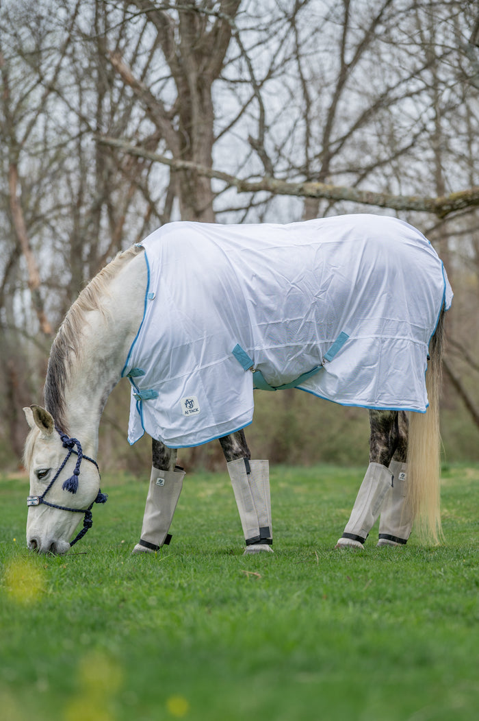 Horse wearing a white fly sheet in a grassy field with trees in the background