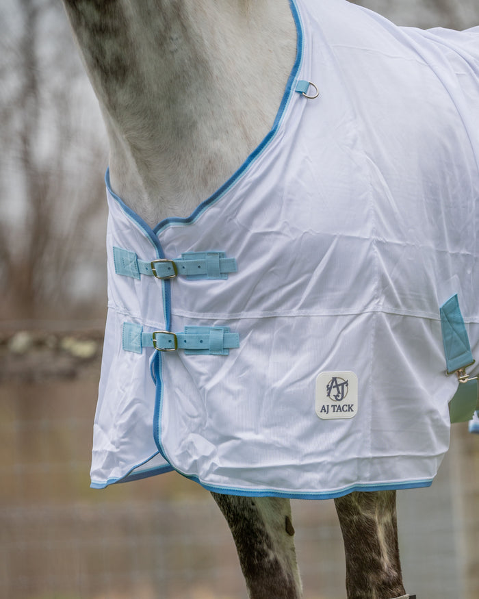 Horse wearing a white fly sheet with blue trim and AJ Tack logo.