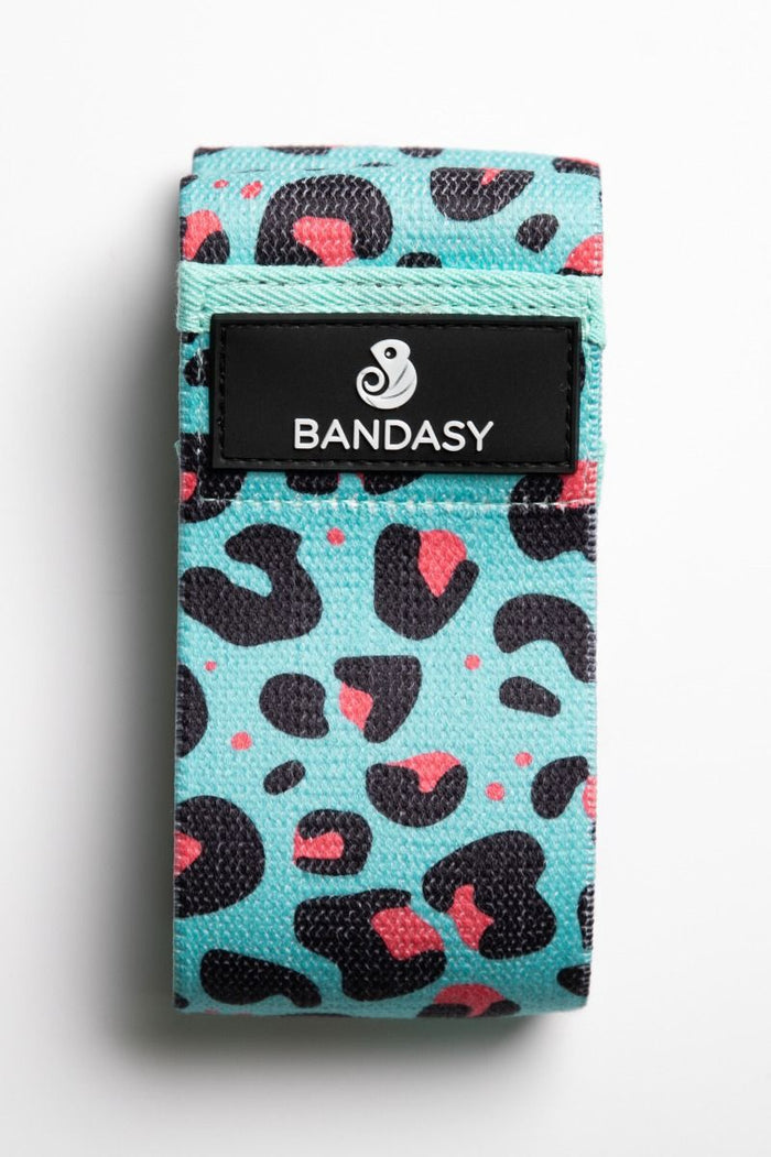 BANDASY RESISTANCE BAND - BLUE LEO