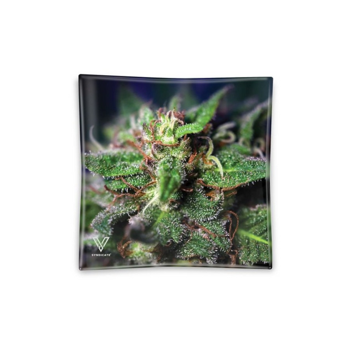 blazin glass ashtray blue dream