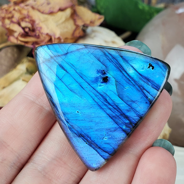 Blue Labradorite Cabochon, 2