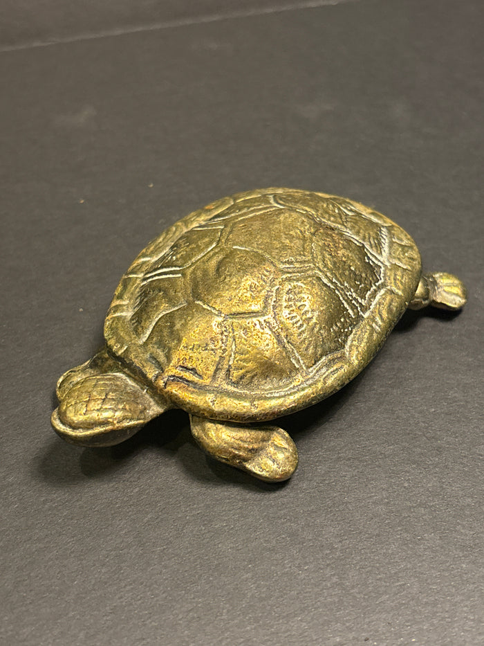 Brass Turtle Box - Hinged Lid