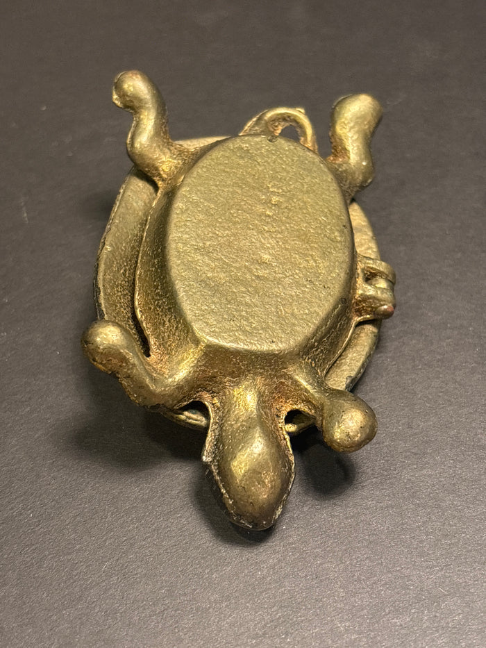 Brass Turtle Box - Hinged Lid