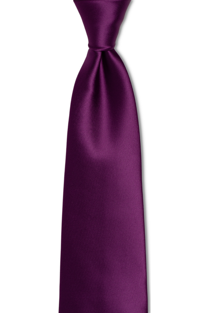 Bright Solid Plum Tie
