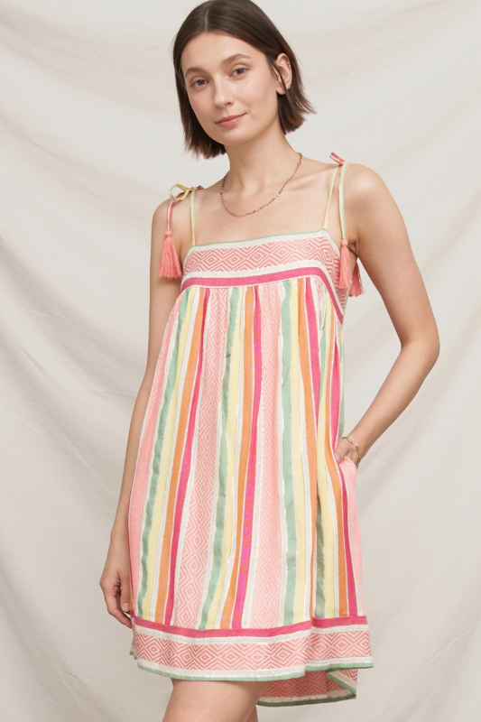 Cai Embroidered Mini Dress