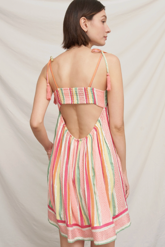 Cai Embroidered Mini Dress