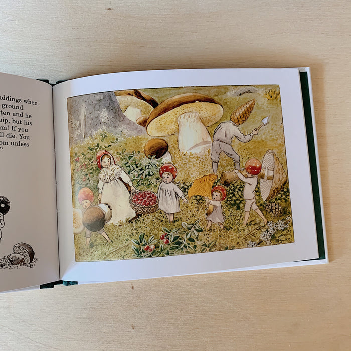 The book shown open to an illustrated page featuring children and adults harvesting mushrooms in a field