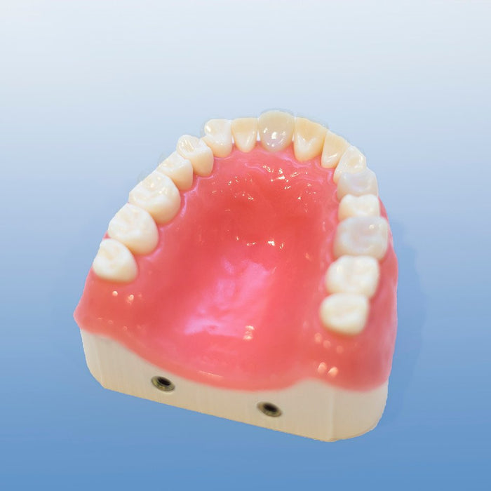 denal endodontic surgical model