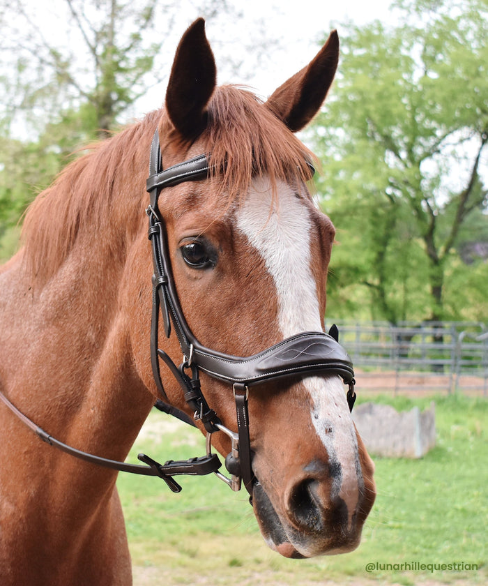 ExionPro 'Auriga' Anti-Pressure Bridle with Reins