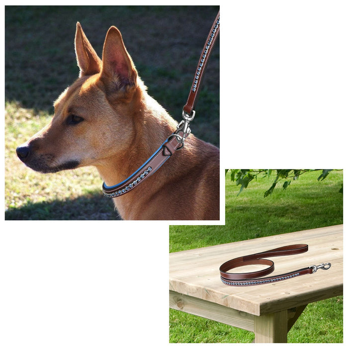 ExionPro Dark Blue Bling Dog Leash