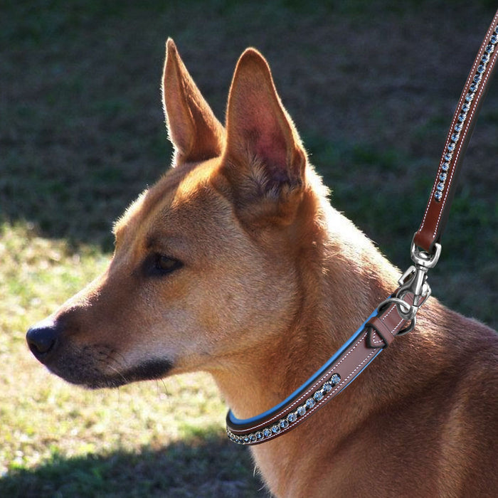 ExionPro Dark Blue Bling Dog Leash