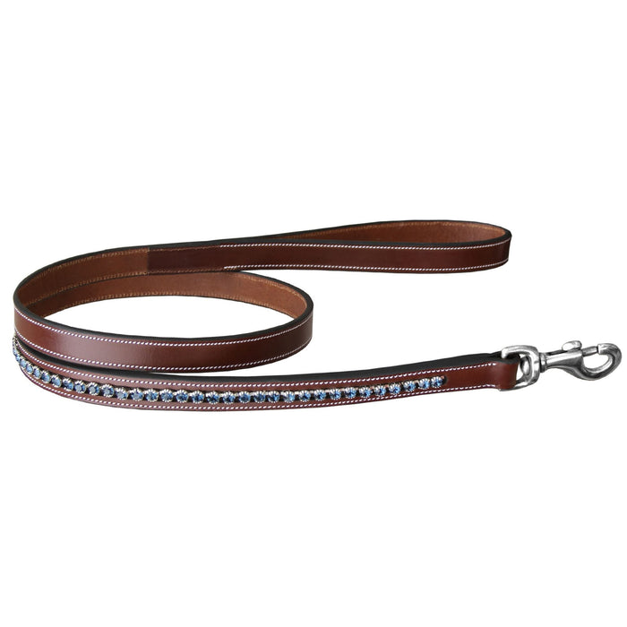 ExionPro Dark Blue Bling Dog Leash