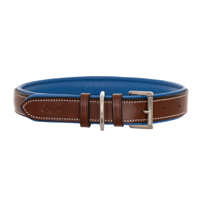 ExionPro Fancy Stitched Padded Leather Dog Collar - Blue Padding