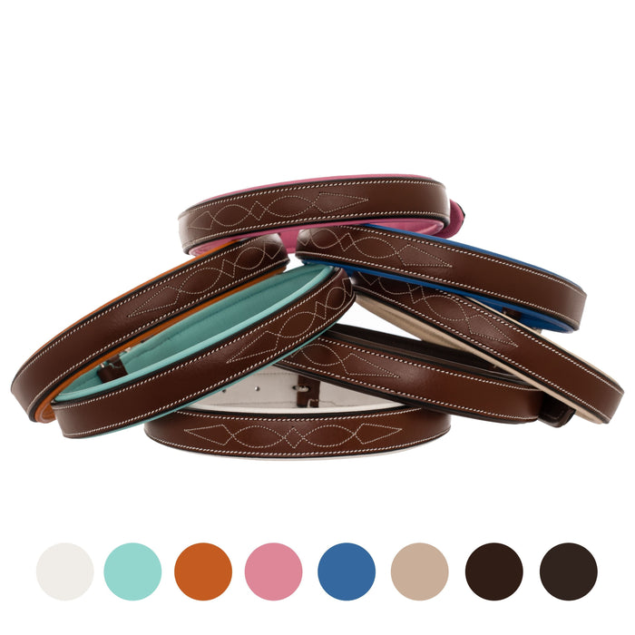 ExionPro Fancy Stitched Padded Leather Dog Collar - Blue Padding