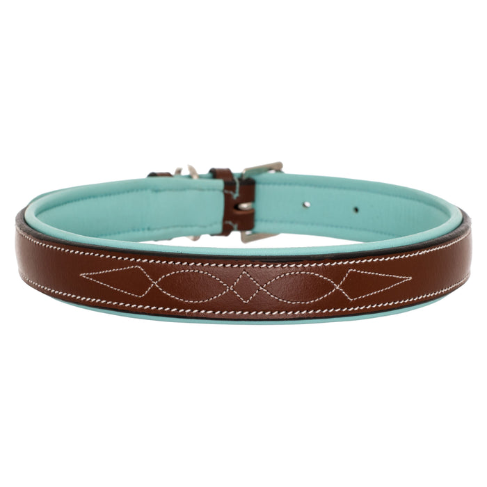 ExionPro Fancy Stitched Padded Leather Dog Collar - Sky Blue Padding