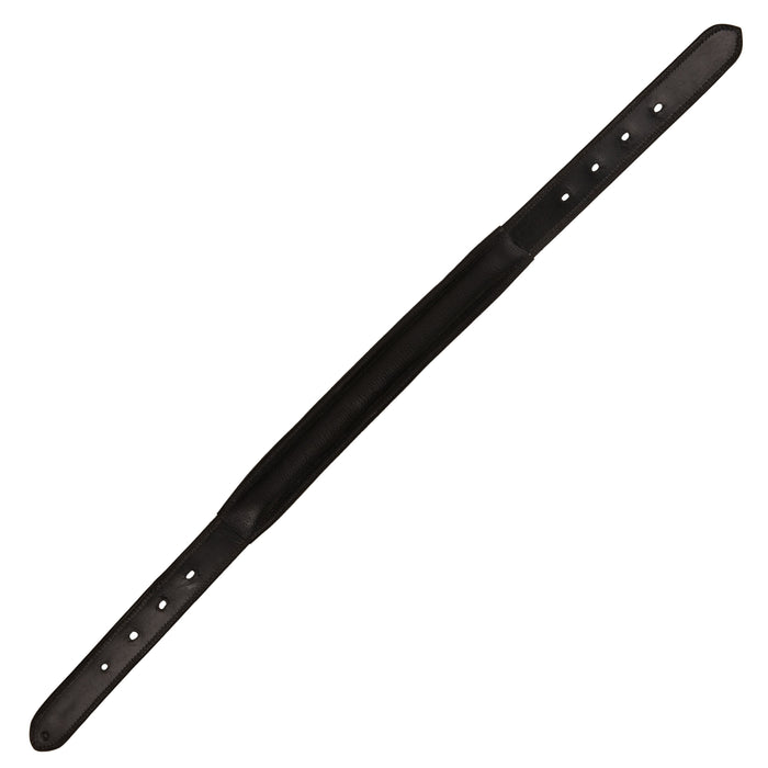 ExionPro Replacement Padded Halter Crown Piece