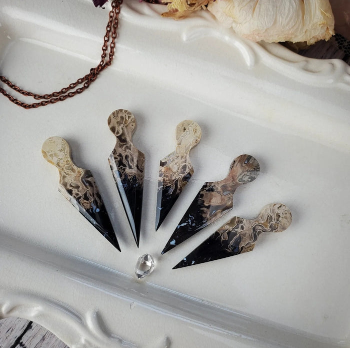 Fossil Palm Root Daggers