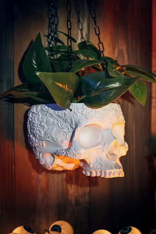 Hanging Skull Planter