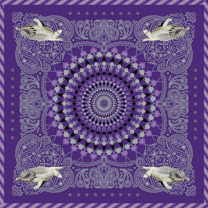 Hypnotoadie Bandana