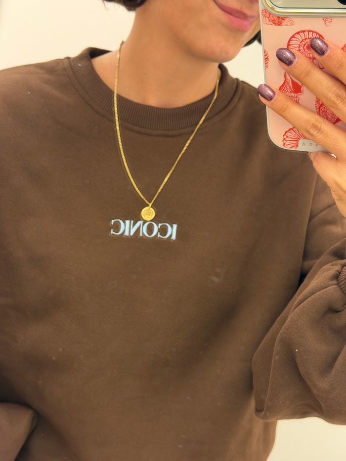 Iconic sweater bruin