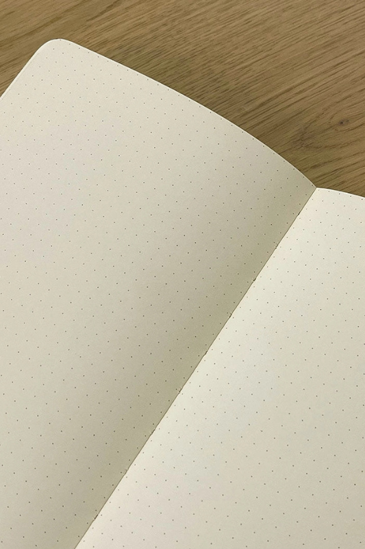 Idea Dump Journal