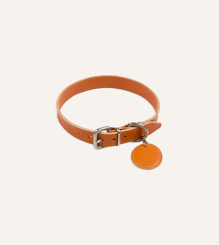 Il Bisonte Caramel Leather Dog Collar