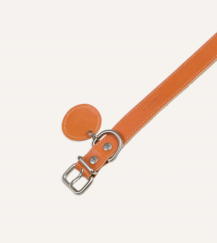 Il Bisonte Caramel Leather Dog Collar