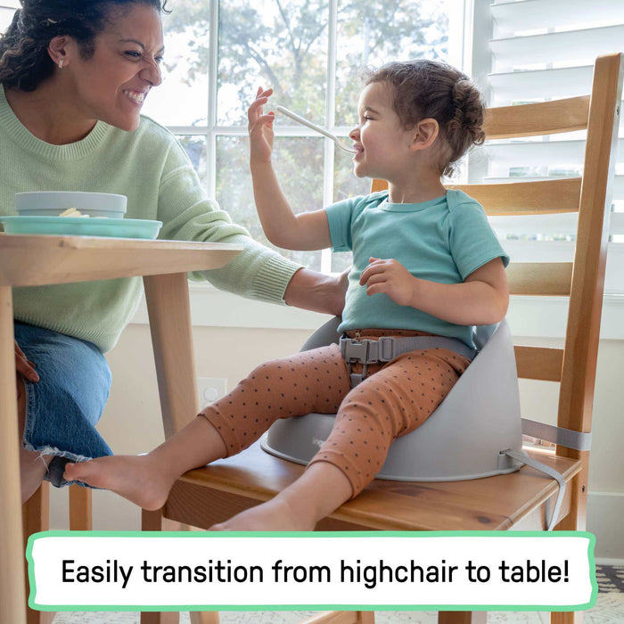 Grey Ingenuity My Spot Easy-Clean baby booster seat with 3-point harness and wipeable base