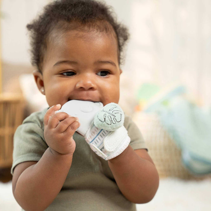 Ingenuity Van Teething Mitt & Rattle for Baby, For Ages 3 Months & Up