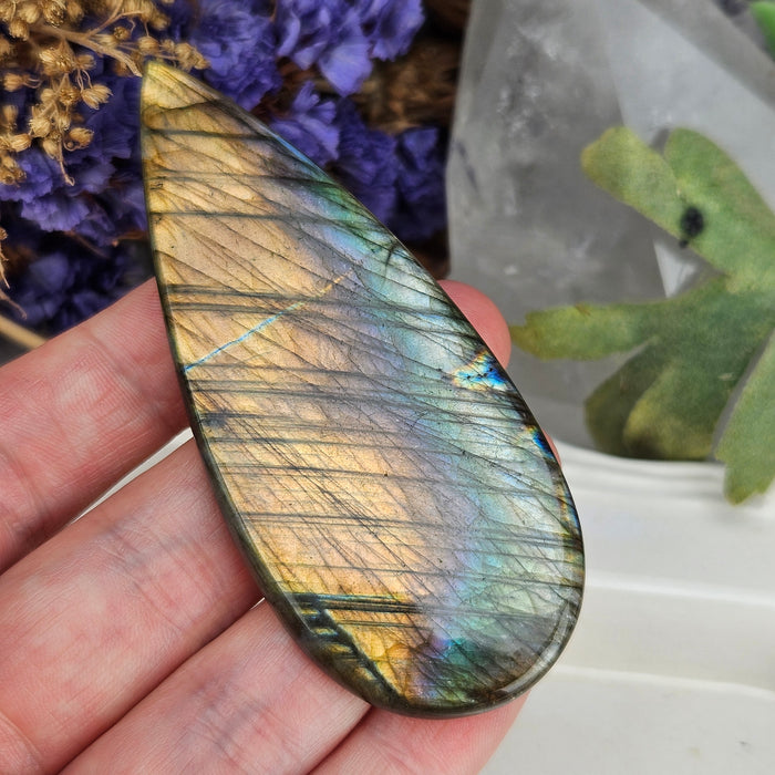 Labradorite Cabochon, 3