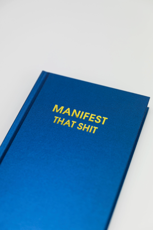 Manifest That Shit - Daily Journal