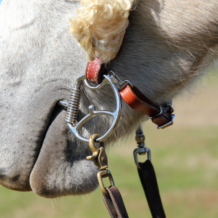 Myler Western Dee with Hooks Low Port Comfort Snaffle MB 04, 5"