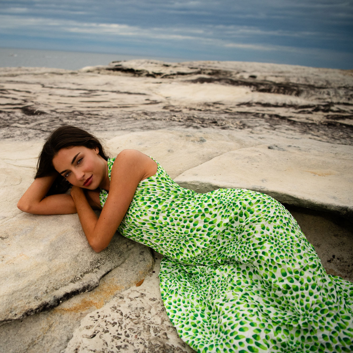 Pippi Smash Dress - Prints