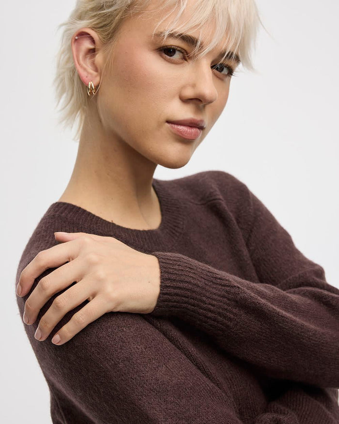 PlushSoft Long-Sleeve Crew-Neck Dress