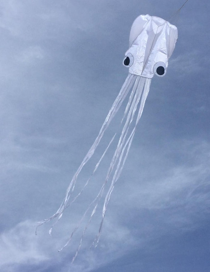 POCKET OCTOPUS 13FT