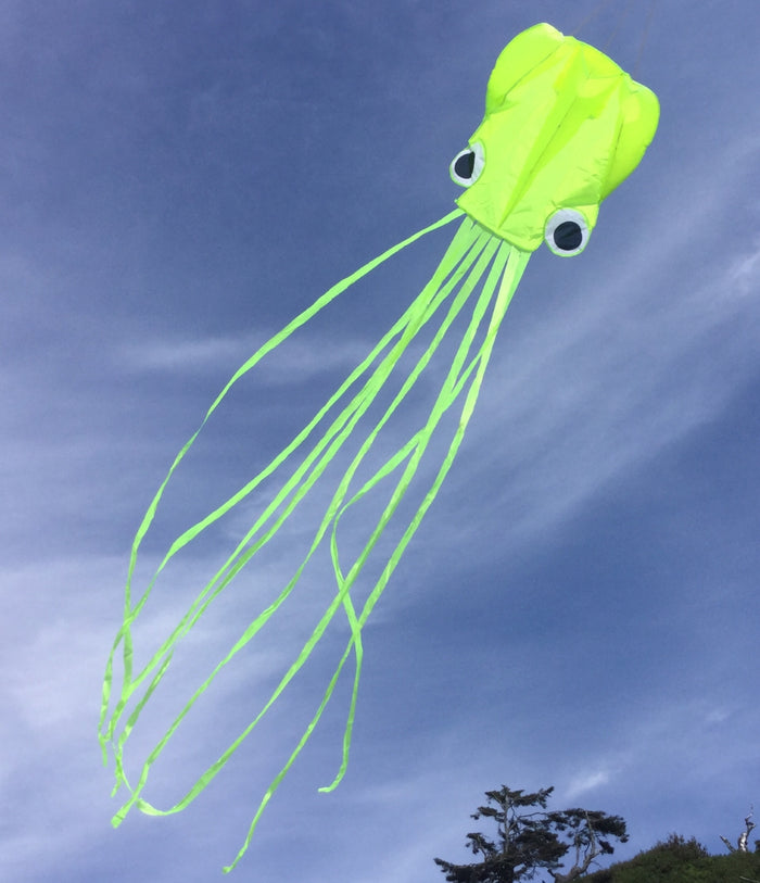 POCKET OCTOPUS 13FT