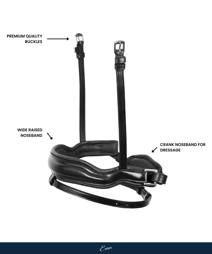 Replacement Noseband of ExionPro 'Leo' Classic Dressage Bridle
