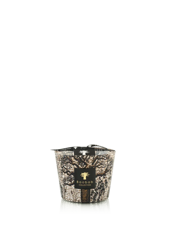 Candles Baobab Sacred Trees Limited Edition Candle Max 10 Max 10 Apoella