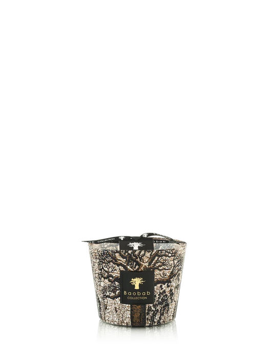 Candles Baobab Sacred Trees Limited Edition Candle Max 10 Max 10 Apoella